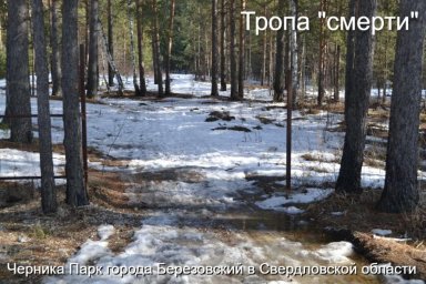Наркозависимые умирают в Березовском из-за бездействия властей