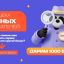 Panda Market развивает онлайн-доставку еды в Ставрополе