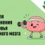 Неделя профилактики заболеваний гловного мозга: почему людям с ВИЧ важно заботиться о